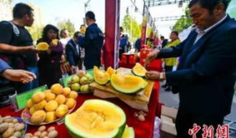 吃瓜最新事件爆料青海